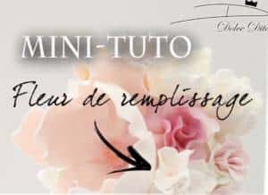 Mini tutoriel Fleurs de Remplissage