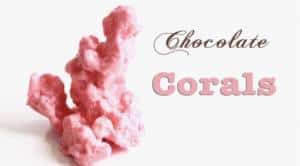 Corail en Chocolat facile