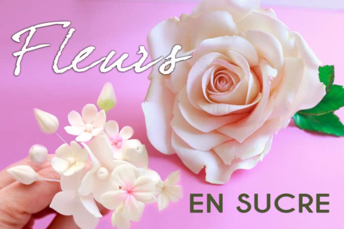 Formation Bases des Fleurs en Sucre