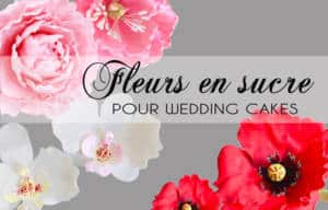 Fleurs en sucre Wedding Cakes