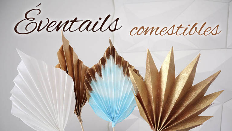 Leçon 14 : Éventails comestibles