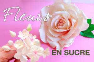 Les Bases des Fleurs en sucre